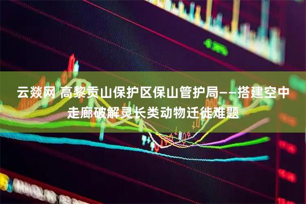 云燚网 高黎贡山保护区保山管护局——搭建空中走廊破解灵长类动物迁徙难题