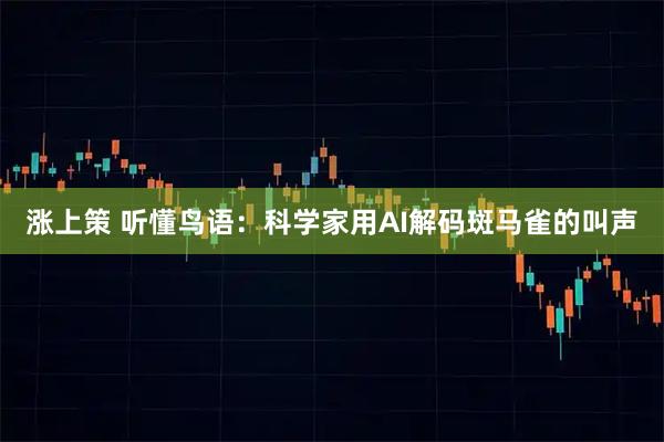 涨上策 听懂鸟语:科学家用AI解码斑马雀的叫声